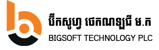 BigSoft Tech